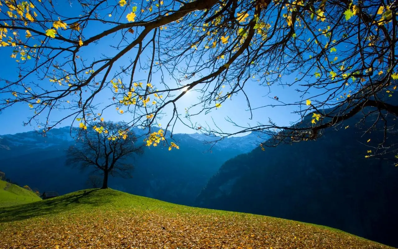信息化智能系统信息化